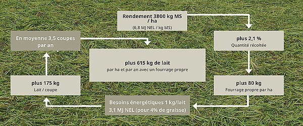 Fourrage plus propre et pertes de récolte réduites confirmés par la DLG