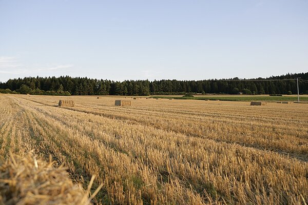 La historia de éxito