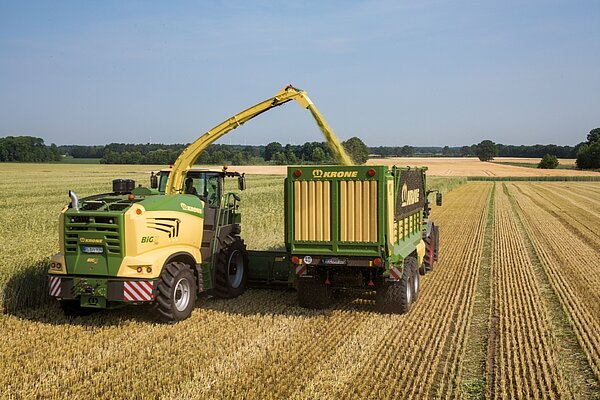 Con distancia de lanzamiento pequeña