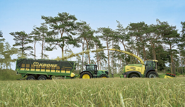 Ensilage de plantes entières