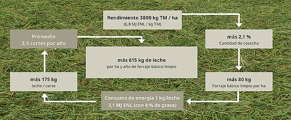 Menor contaminación del forraje y menores pérdidas de rastrillado demostrados por DLG