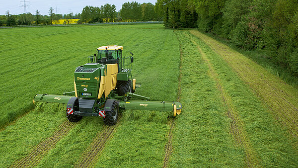 Ablage auf voller Breite