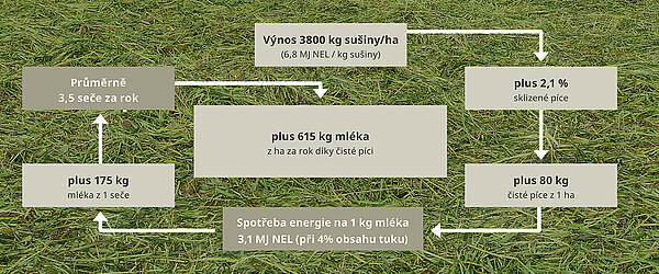 Méně nečistot v píci a nižší ztráty potvrzuje i DLG