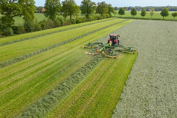 Unidad de mando DS 100