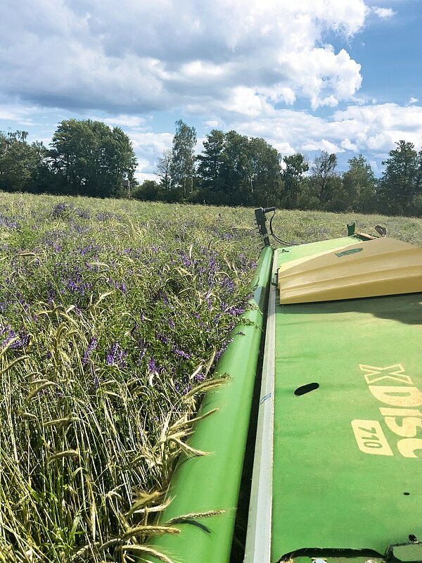 El compresor de rodillos