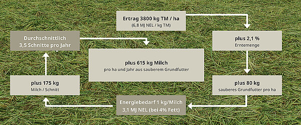 Weniger Futterverschmutzung und Rechenverluste durch DLG belegt (Kopie 1)