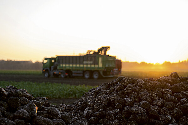 Einer für Alles – und Alles auf Einen