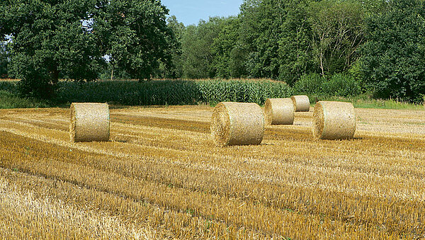 TIM ensures uniform bales