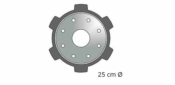 250 mm de diámetro