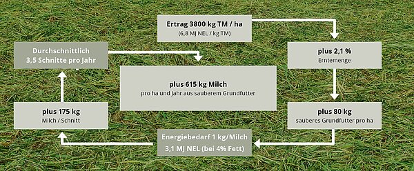 Weniger Futterverschmutzung und Rechenverluste durch DLG belegt