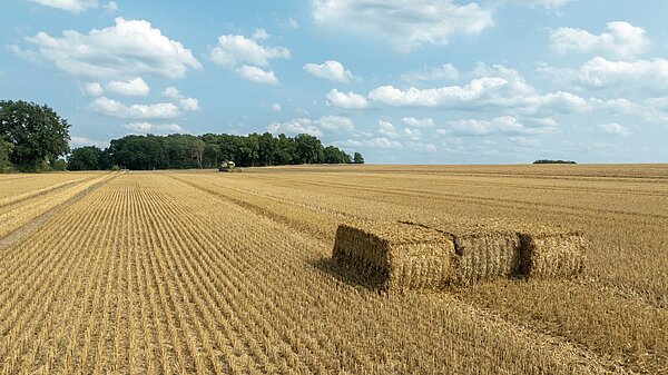 Mantenimiento y limpieza