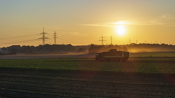 KRONE GX AgriLiner 520 – Wenn Flexibilität Masse bewegt