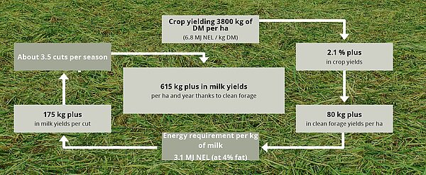 DLG confirms: Less contamination and fewer losses in the raking pass