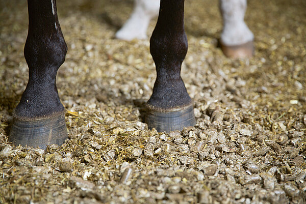 Ideaal voor paarden