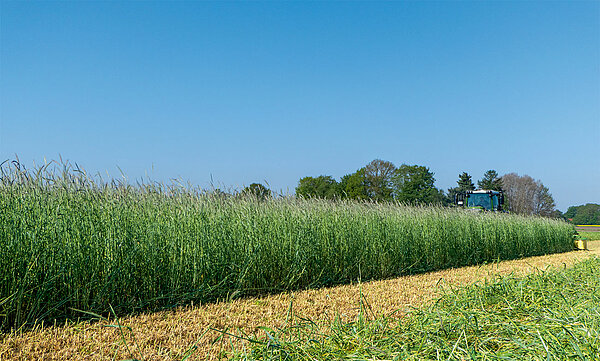 Maximum power for huge forage volumes