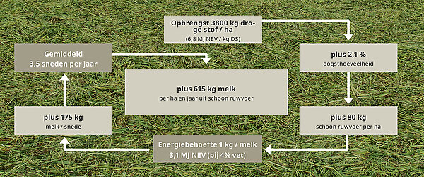 Minder gewasvervuiling en harkverliezen door DLG aangetoond