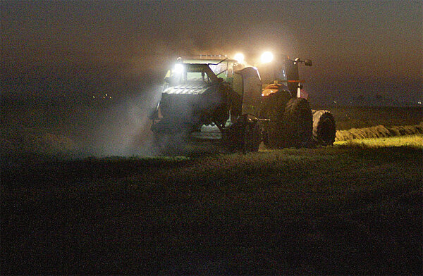 Die Nacht wird zum Tag