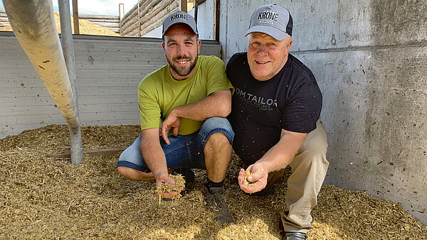 Comfortable bedding for cattle