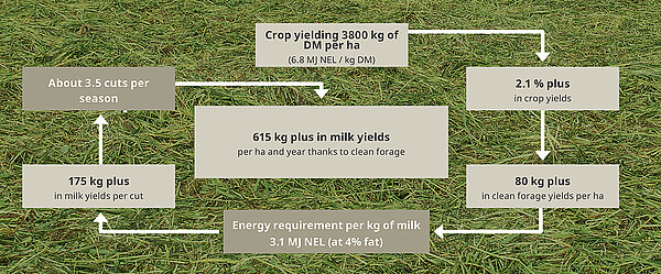 DLG confirms: Less contamination and fewer losses in the raking pass