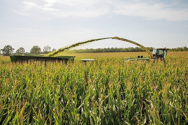 Con distancia de lanzamiento grande