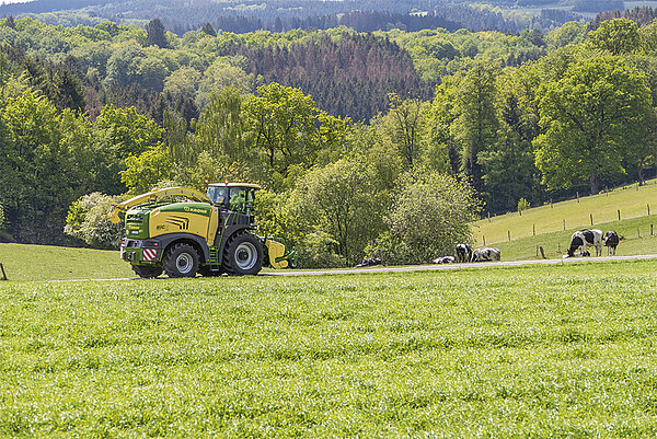 Das Fahrwerk