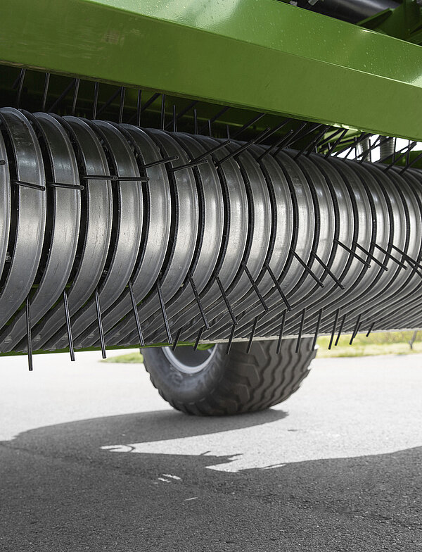 Dientes dobles dispuestos en forma de W