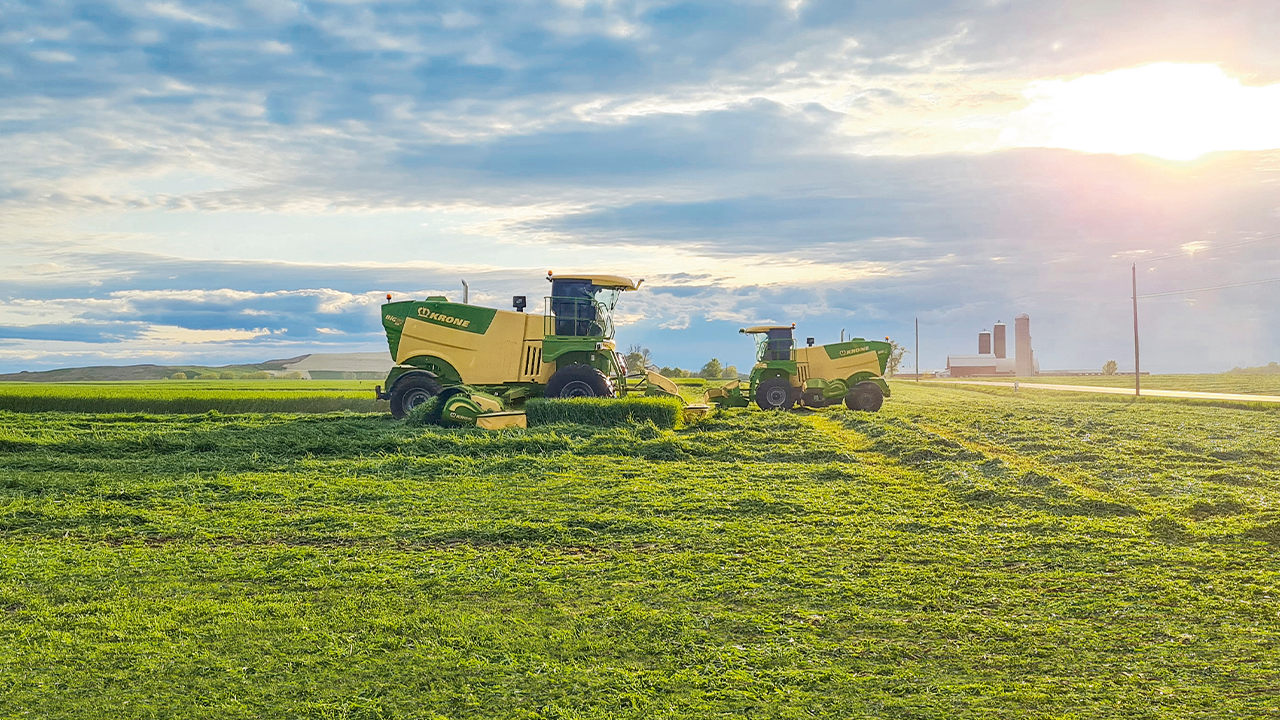 KRONE BiG M 450 Hochleistungs-Mähaufbereiter im Grünland