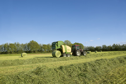 Small-diameter bales